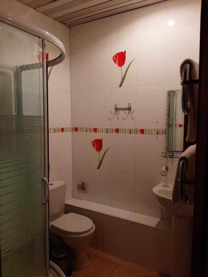 Baykal Ersi Hotel Listvjanka Buitenkant foto